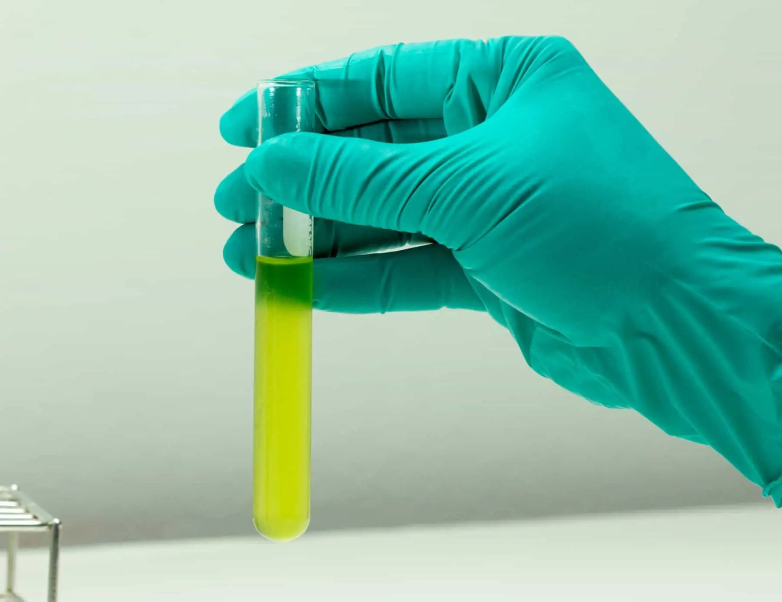 How to Remove Algae from Drinking Water and Prevent It in Water Filter Pitchers