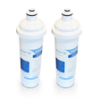 Two white cylindrical "Replacement Drinking Water Filters for Everpure H-1200 / Everpure THM 1 & 2" from Premiere Sales, each featuring a blue and white label, stand side by side on a white background, showcasing the advanced 1-micron filtration of the Everpure H-1200 series.