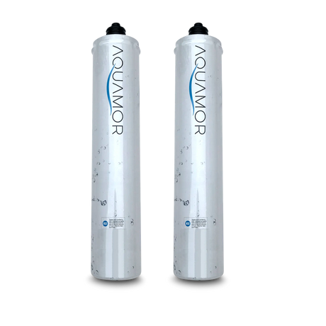 Two tall High Capacity Replacement Cartridges for Everpure H 1200 (EV9282-01) by Premiere Sales are standing side by side, each with a white body and black top under a gray background. Featuring 0.5 micron filtration, these filters utilize an activated carbon block to ensure premium water purity comparable to Everpure H 1200 standards.